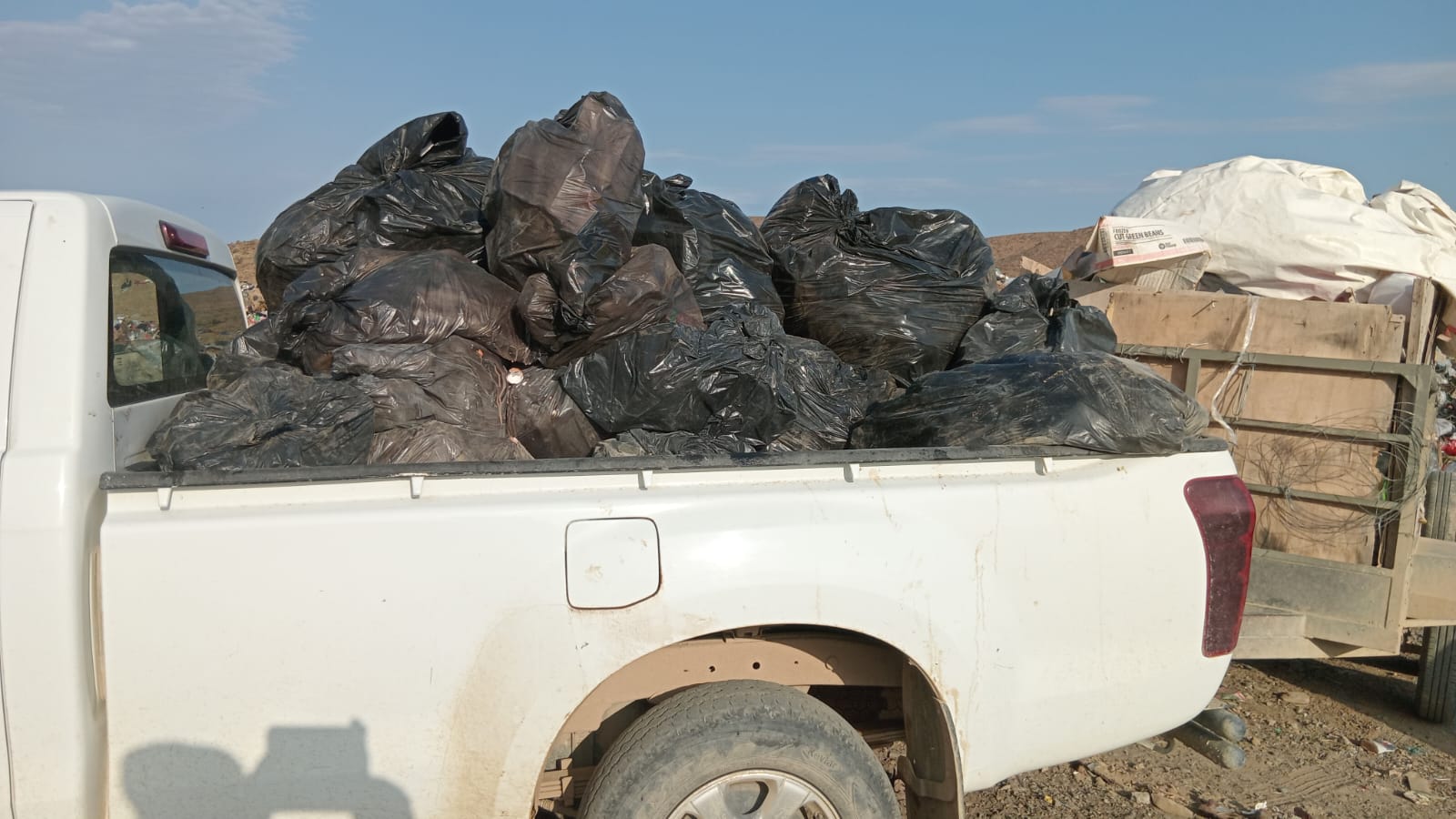Waste collection